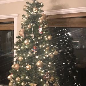 Meet your Posher, Alisha